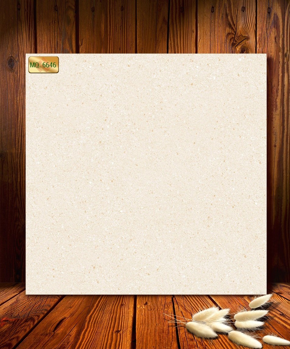 Gạch Đá Mờ Matt 60x60 MQ6646